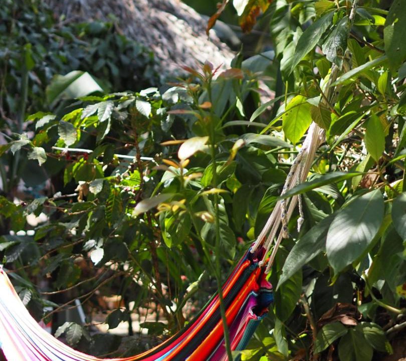 Photo of Others in San Juan La Laguna