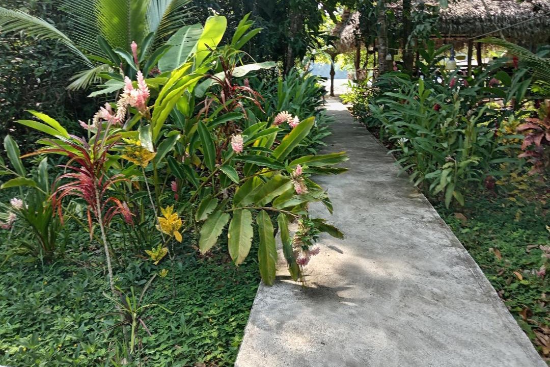 Photo of Others in Puerto Barrios