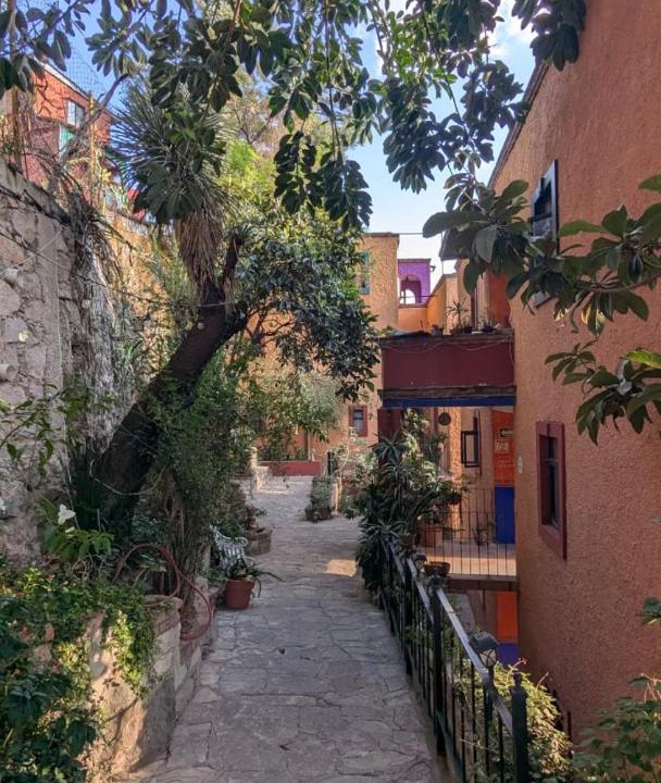 Photo of Others in Guanajuato