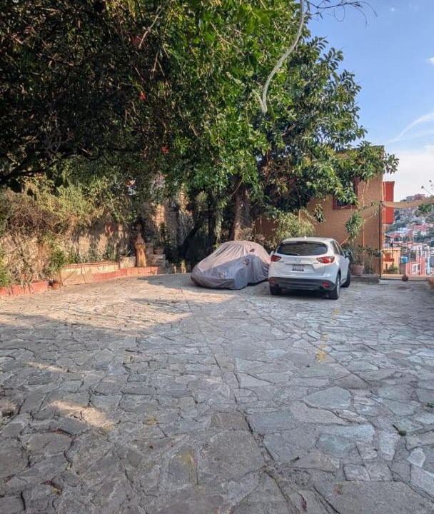 Photo of Others in Guanajuato