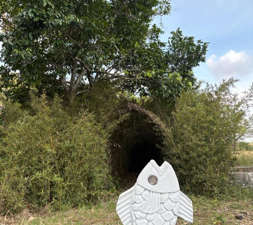 Photo of Others in Tuxpan