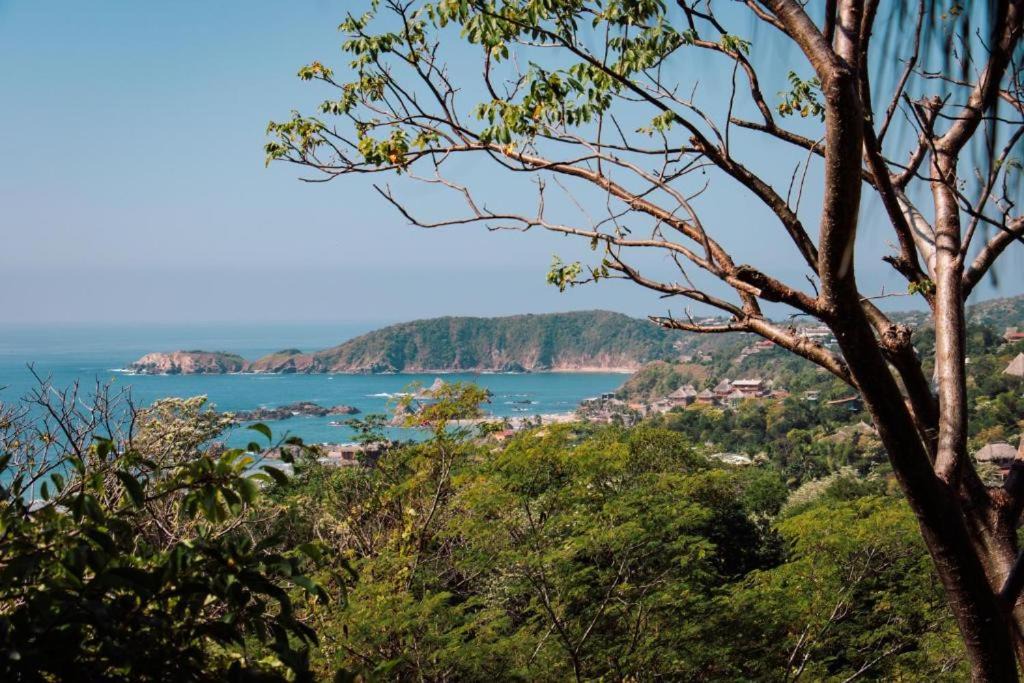 Photo of Others in San Agustinillo