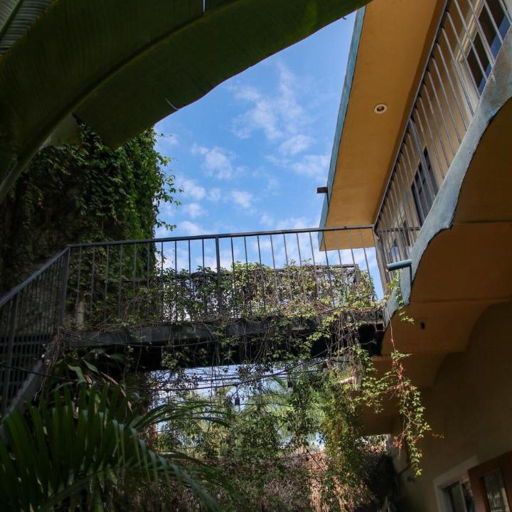 Photo of Others in Chacala