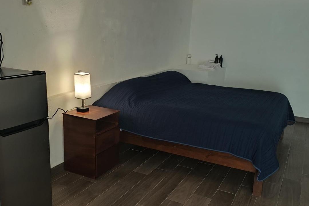 Photo of Bedroom in Santiago