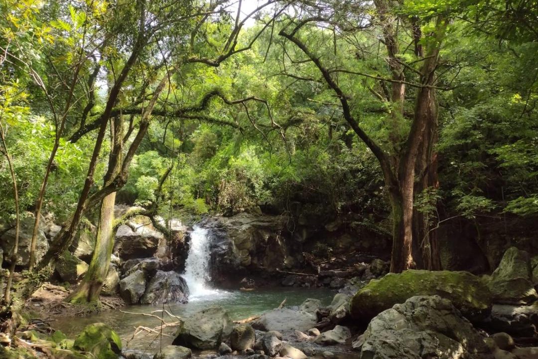 Photo of Others in Tepoztlan