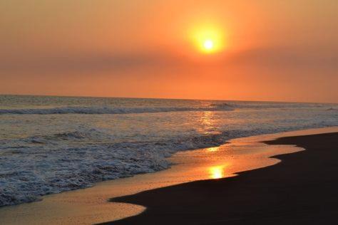Photo of Others in Pacific Coast
