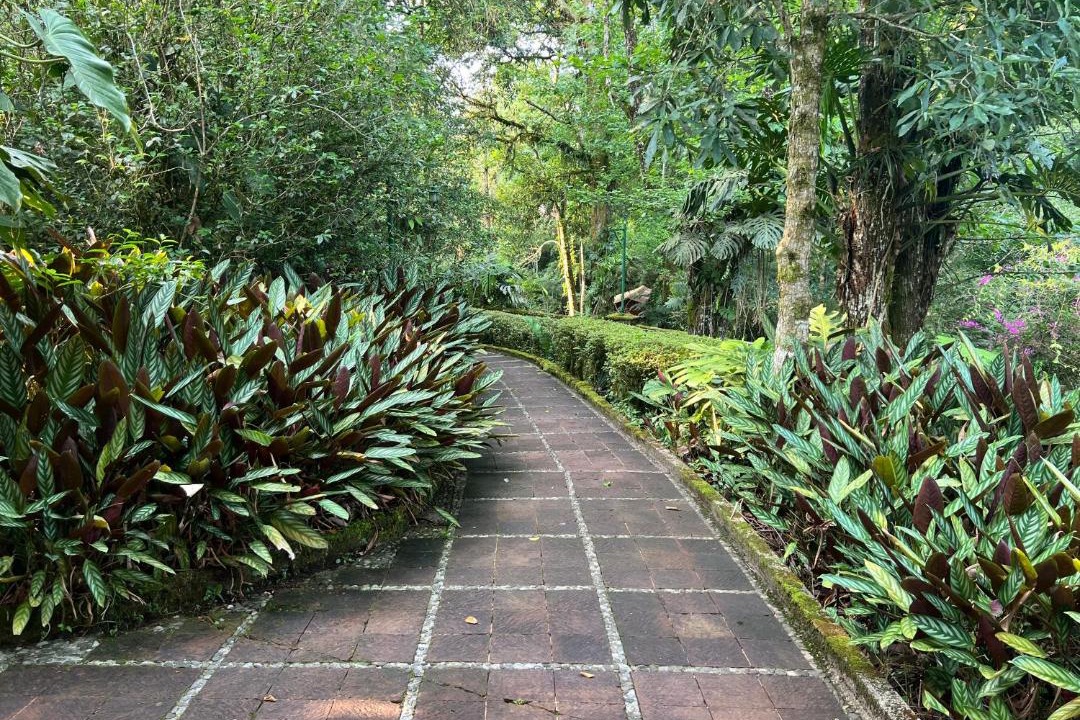 Photo of Outdoor in Xicotepec