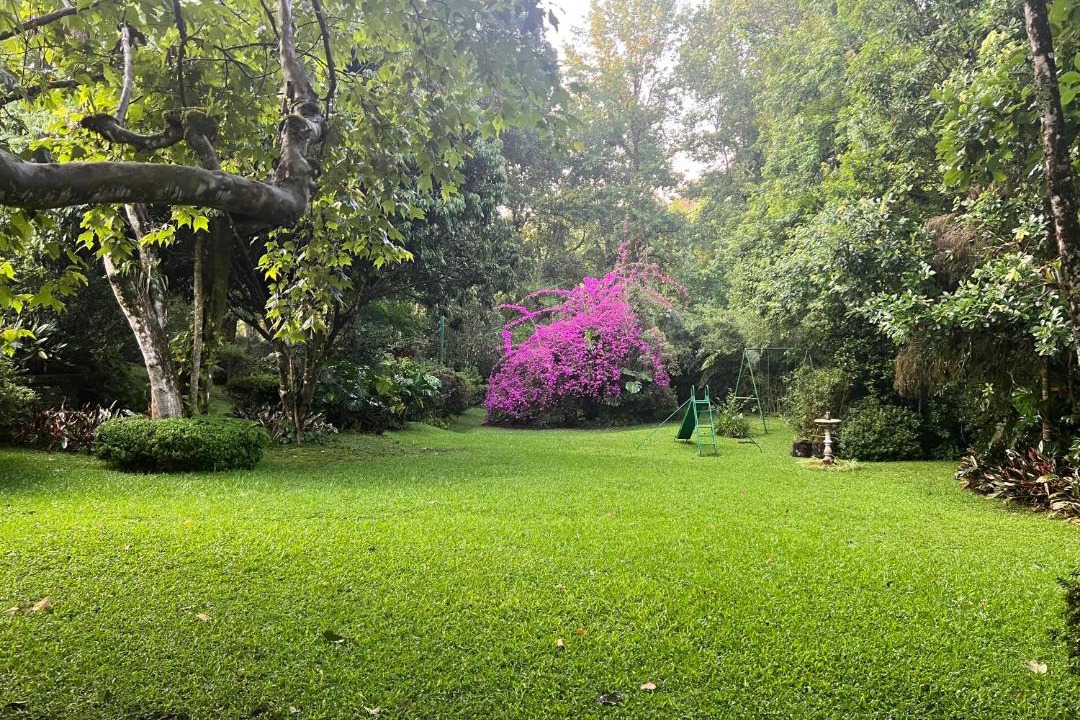 Photo of Outdoor in Xicotepec