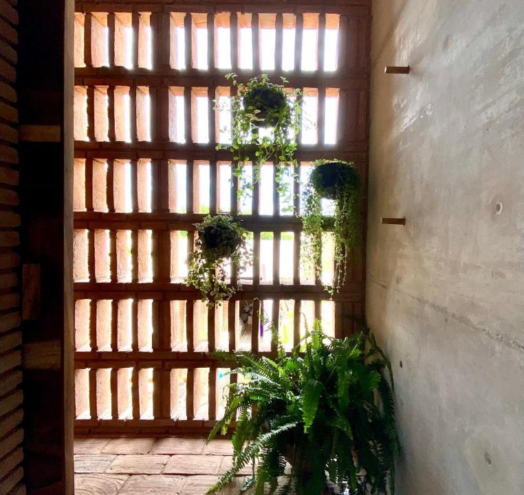 Photo of Others in Puerto Escondido