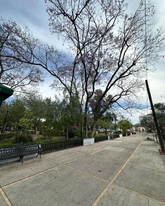 Photo of Others in Aguascalientes