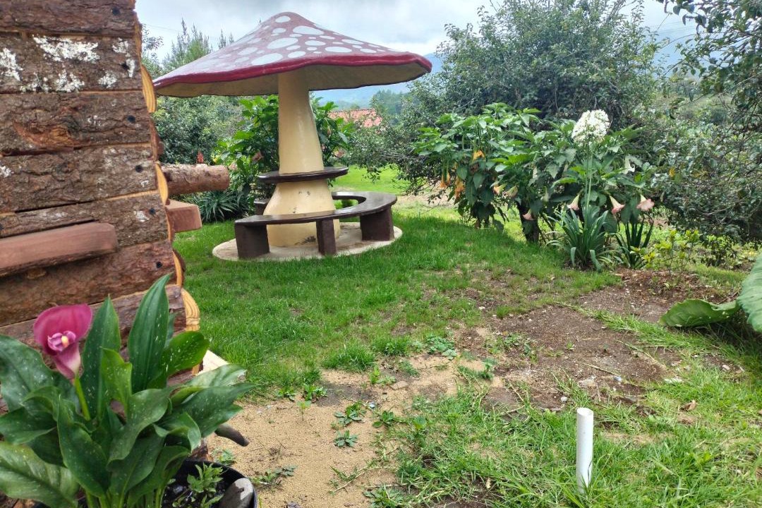 Photo of Others in Zacatlan