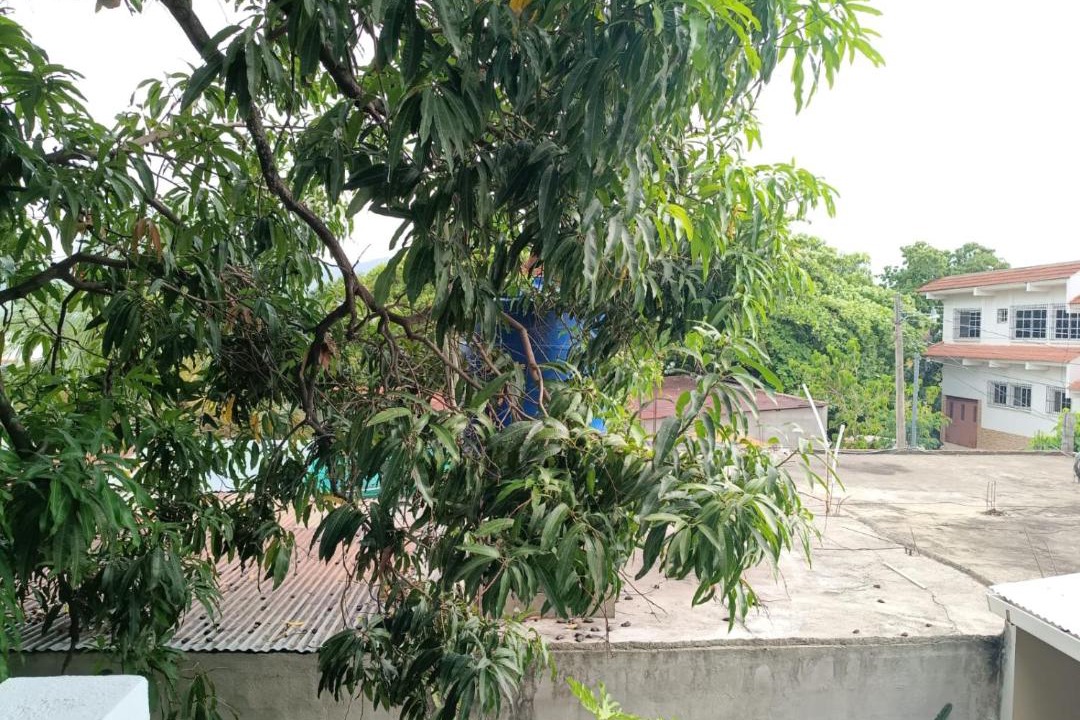 Photo of Others in Chiquimula