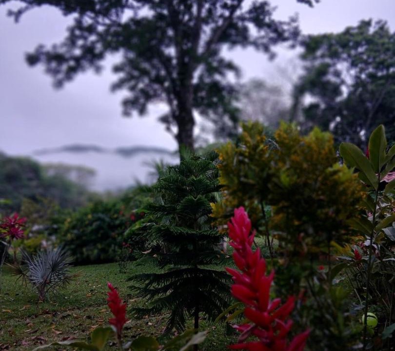 Photo of Outdoor in Catemaco