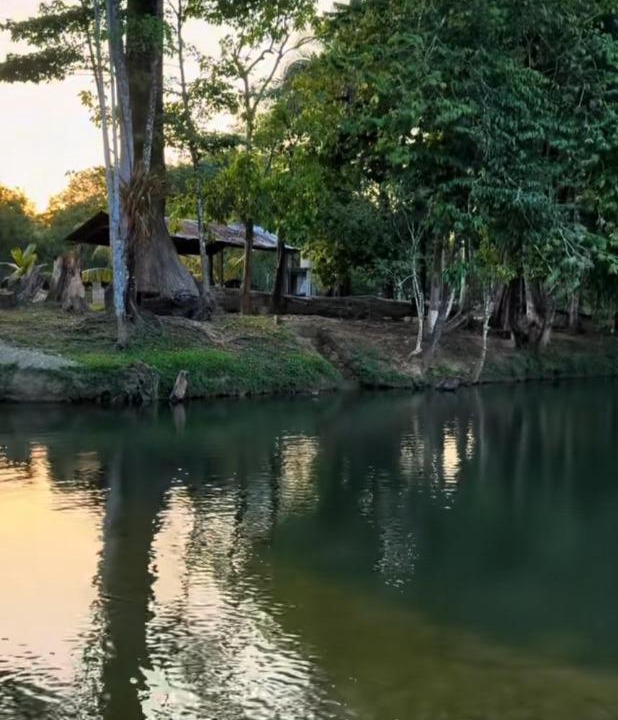 Photo of Others in Peten