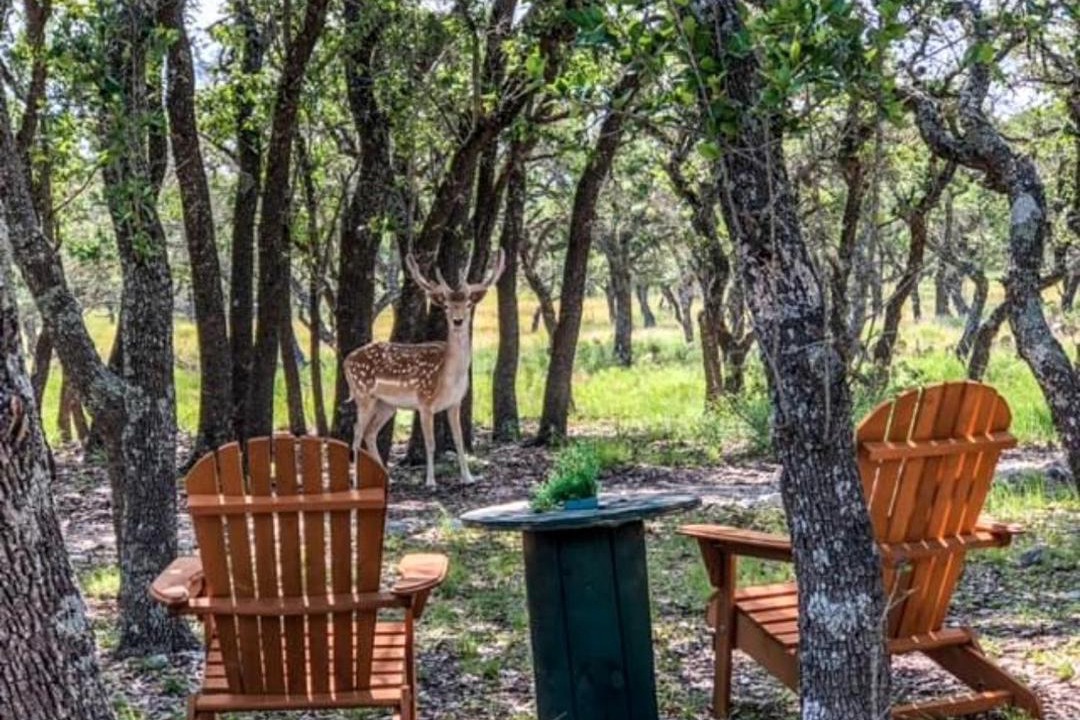 Photo of Others in Mountain Home