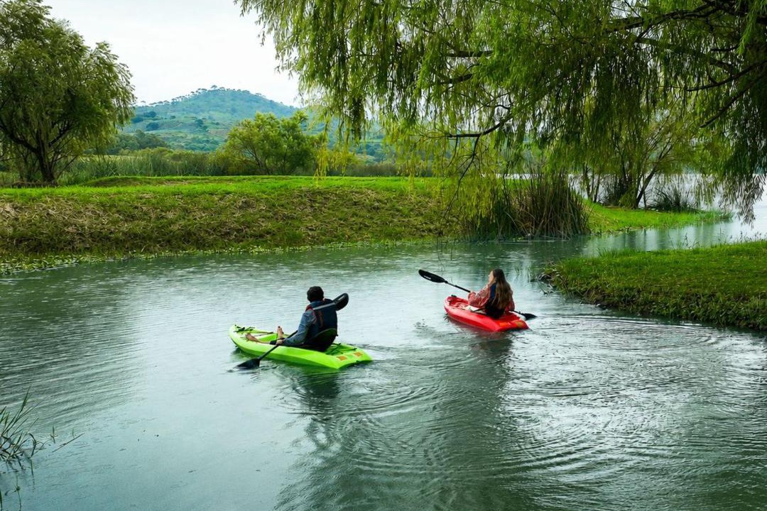 Photo of Others in San Pedro Lagunillas