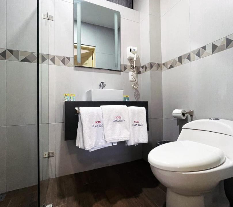 Photo of Bathroom in Downtown Guadalajara