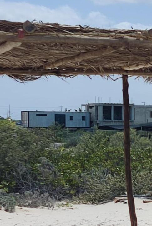 Photo of Others in Sisal