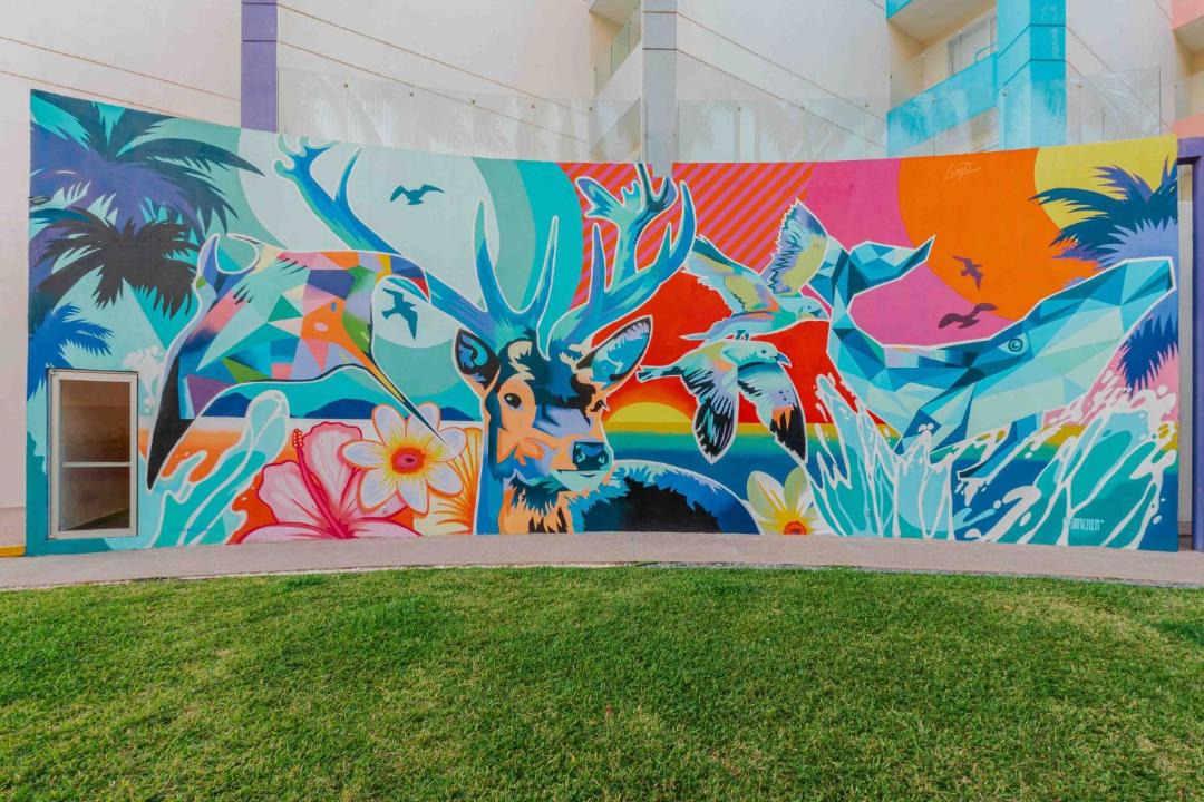 Photo of Others in Mazatlan