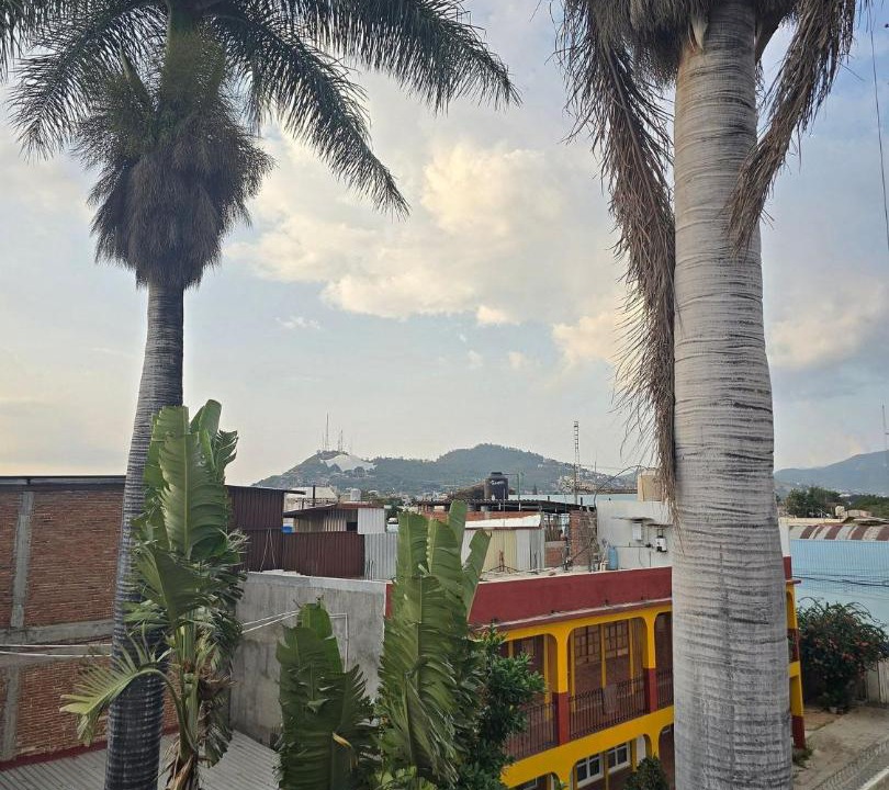 Photo of Others in Oaxaca