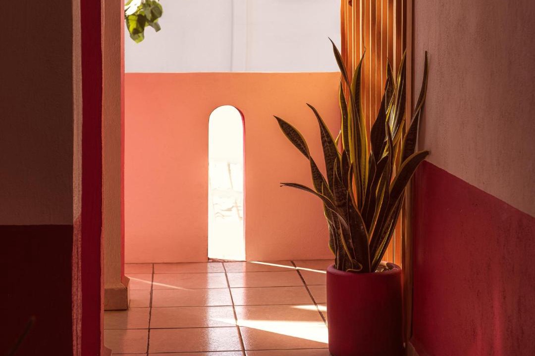 Photo of Others in Brisas de Zicatela