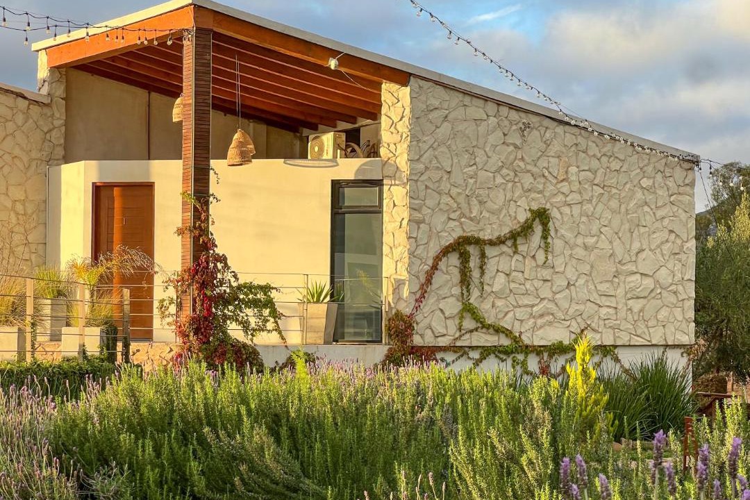 Photo of Others in Valle de Guadalupe
