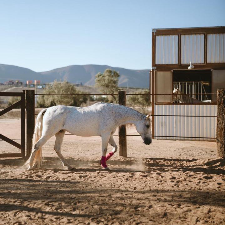 Photo of Others in Valle de Guadalupe