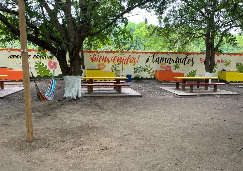 Photo of Others in Coacoyul