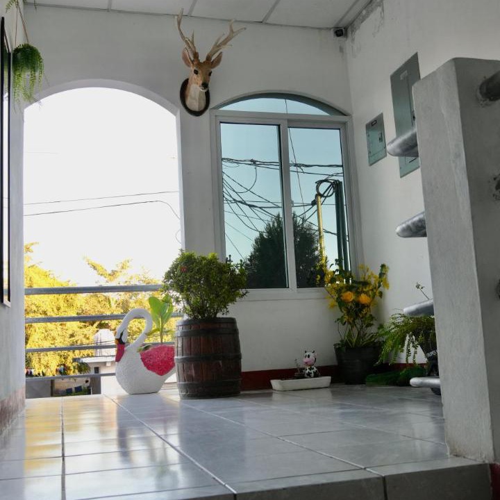 Photo of Others in Flores