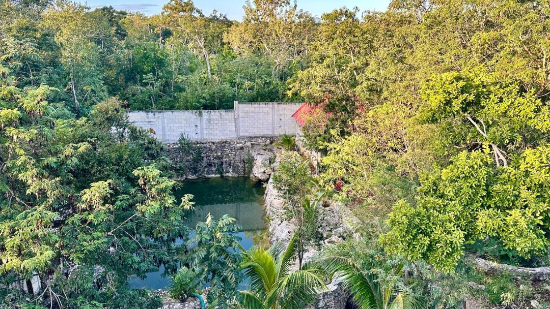 Photo of Others in Tulum
