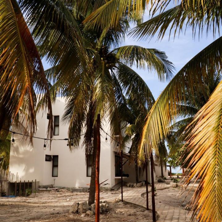 Photo of Others in Telchac Puerto
