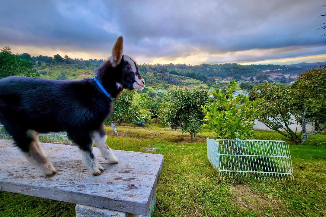 Photo of Others in Santa Catarina Barahona