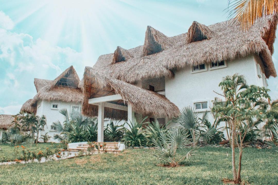 Photo of Others in Monterrico