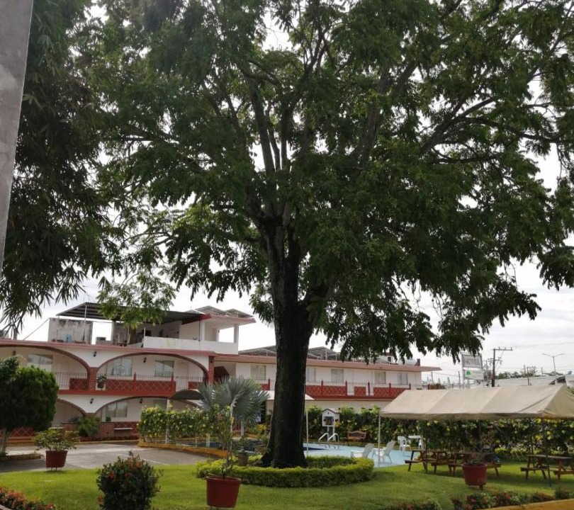 Photo of Others in Martinez de La Torre