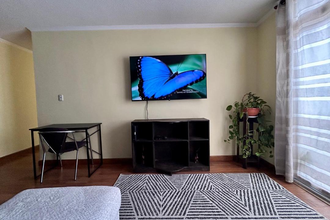 Photo of Livingroom in Zona 1