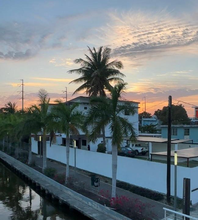 Photo of Others in Tampico