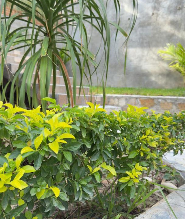 Photo of Outdoor in Chiapa De Corzo