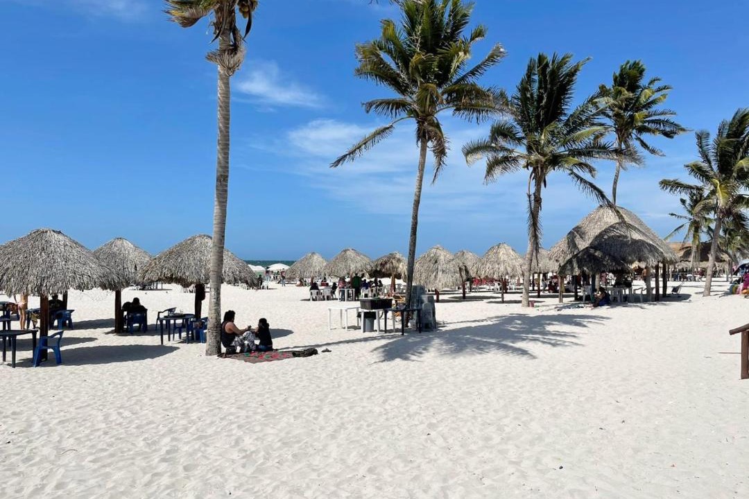 Photo of Others in Chicxulub Puerto