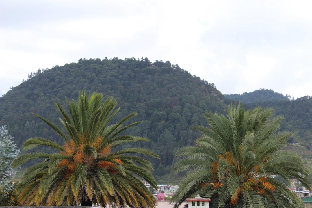 Photo of Others in Quetzaltenango