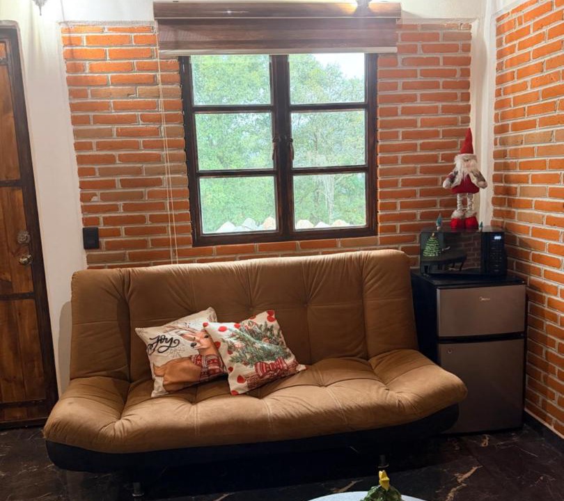 Photo of Livingroom in Omitlan de Juarez