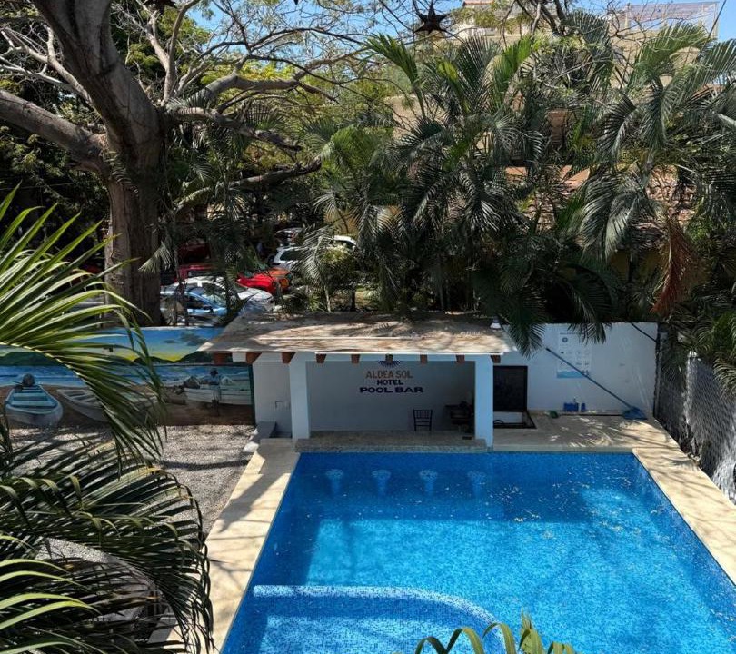 Photo of Others in La Palapa
