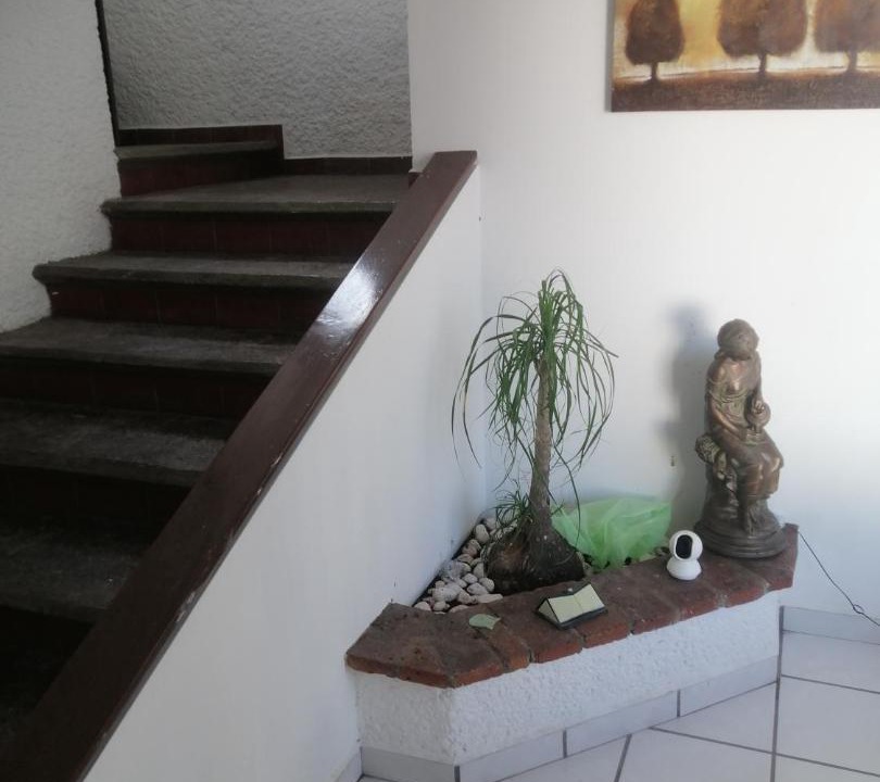 Photo of Others in Aguascalientes
