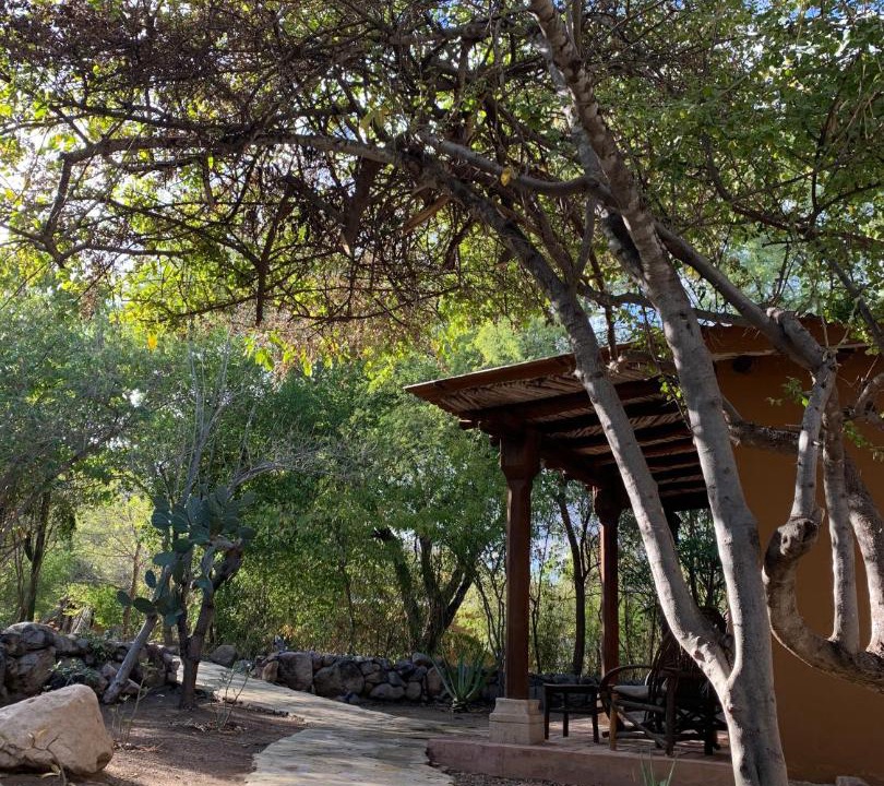 Photo of Others in Alamos
