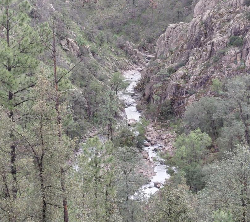Photo of Others in Chihuahua