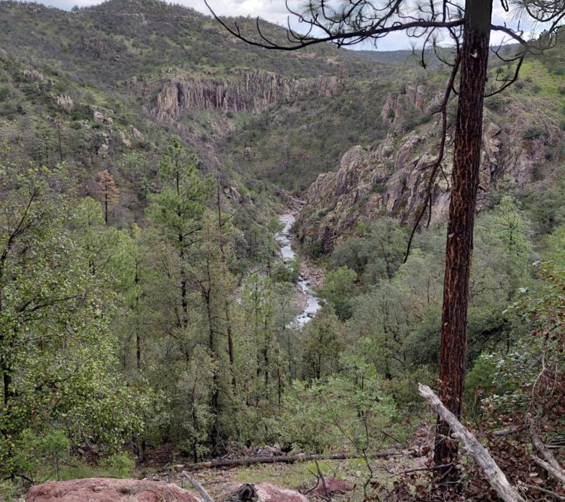 Photo of Others in Chihuahua