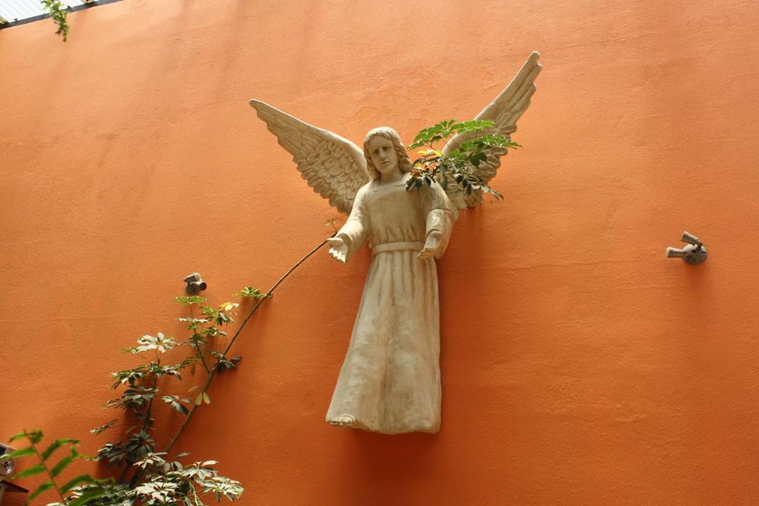 Photo of Others in Quetzaltenango