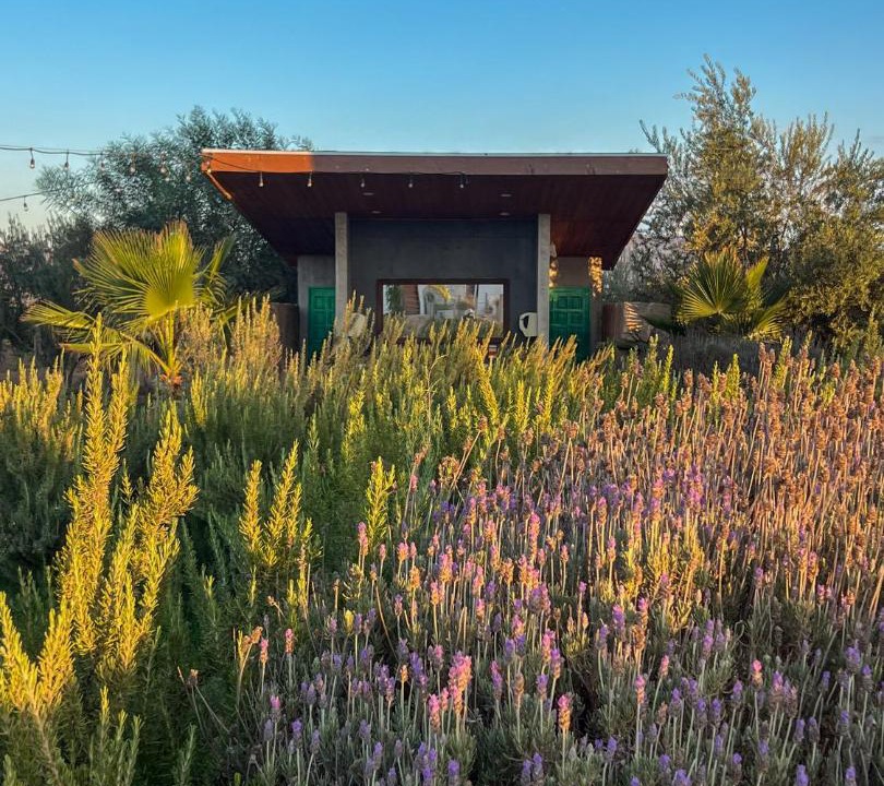Photo of Others in Valle de Guadalupe