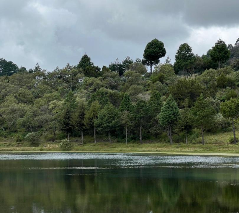 Photo of Others in Zacatlan