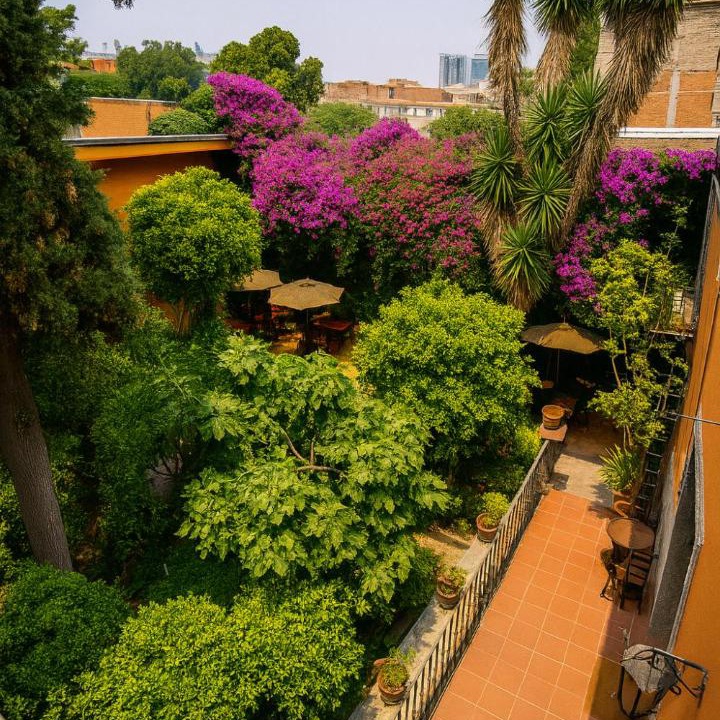 Photo of Others in San Miguel Chapultepec