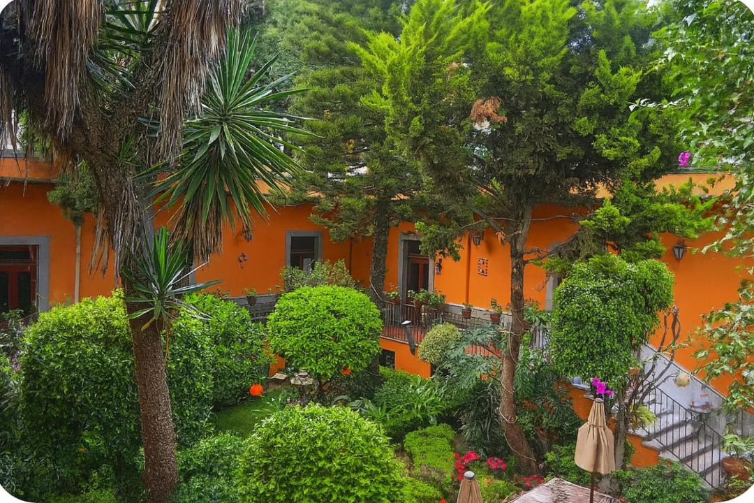 Photo of Others in San Miguel Chapultepec